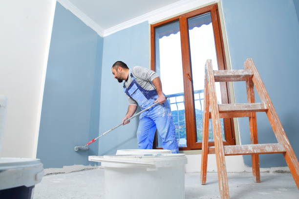 Best Mold Remediation for Healthcare Facilities  in Sedgwick, KS