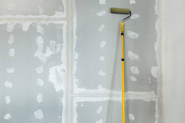 Best Post-Construction Mold Inspection  in Sedgwick, KS