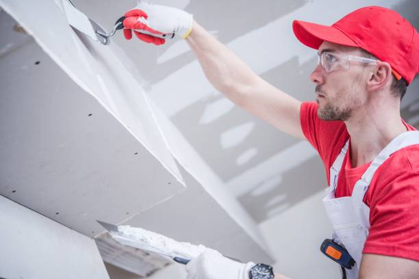 Best Real Estate Mold Inspection  in Sedgwick, KS