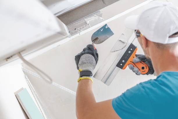 Sedgwick, KS Mold Removal Company